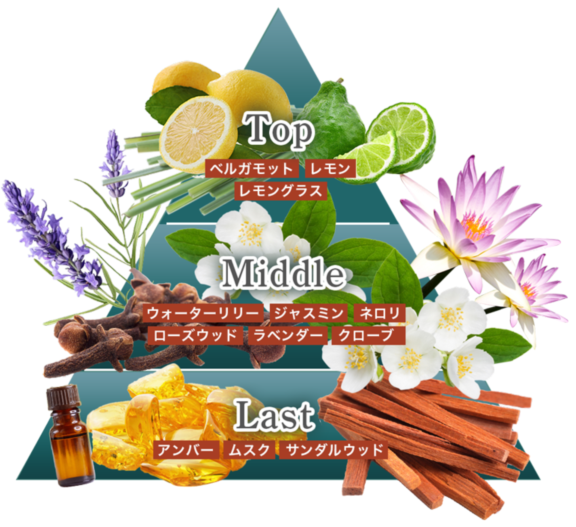 INFINITE ONE MAGINA 練り香水 モテ香水 Harmo-Dine 男性の新しい 